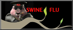 swineflu2